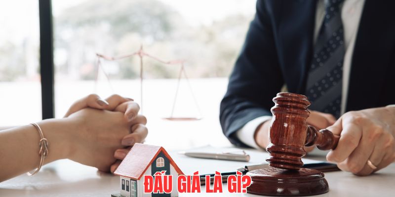 Đấu Giá Là Gì? Tìm Hiểu Những Kiến Thức Liên Quan Về Đấu Giá