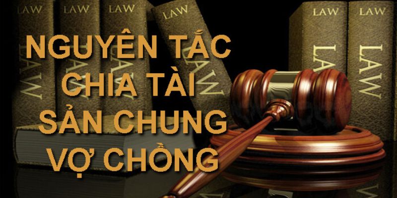 Nguyên tắc phân chia tài sản khi ly hôn dựa theo các yếu tố 